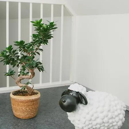 ゲストハウス Gaestehaus Vigliarolo Gewerblich Jedes Eigenes Bad Gemeinschaftskueche