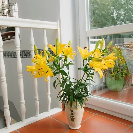 Gaestehaus Vigliarolo Gewerblich Jedes Eigenes Bad Gemeinschaftskueche ゲストハウス エルムスホルン